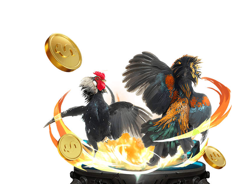 Đá Gà Trực Tiếp 789b