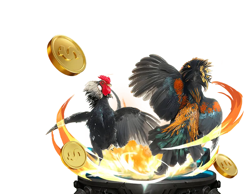 Đá Gà Trực Tiếp 789b